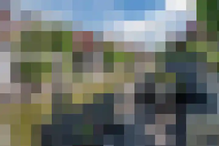 Goudappel 40 Den Hoorn thumbnail 4