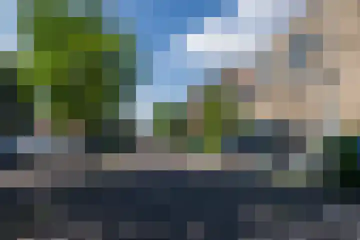 Goudappel 40 Den Hoorn thumbnail 40