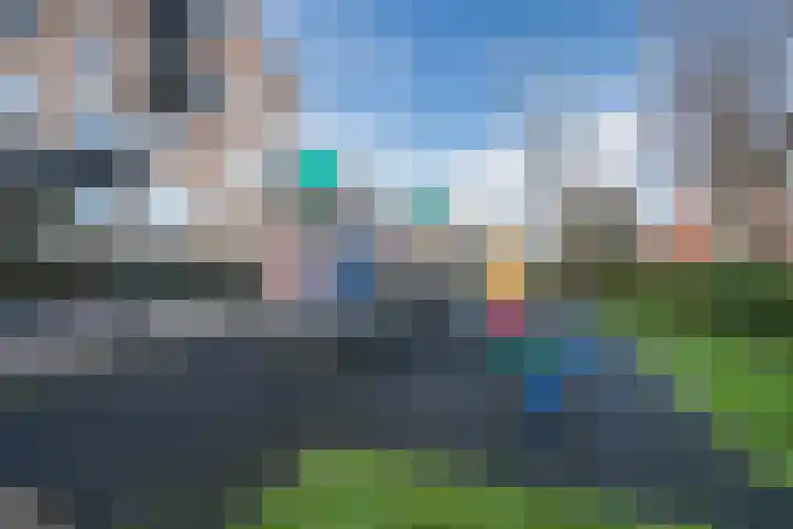 Goudappel 40 Den Hoorn thumbnail 42