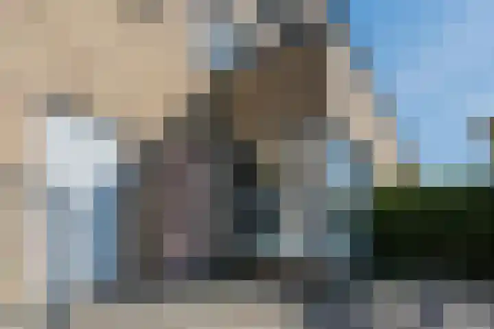 Goudappel 40 Den Hoorn thumbnail 6