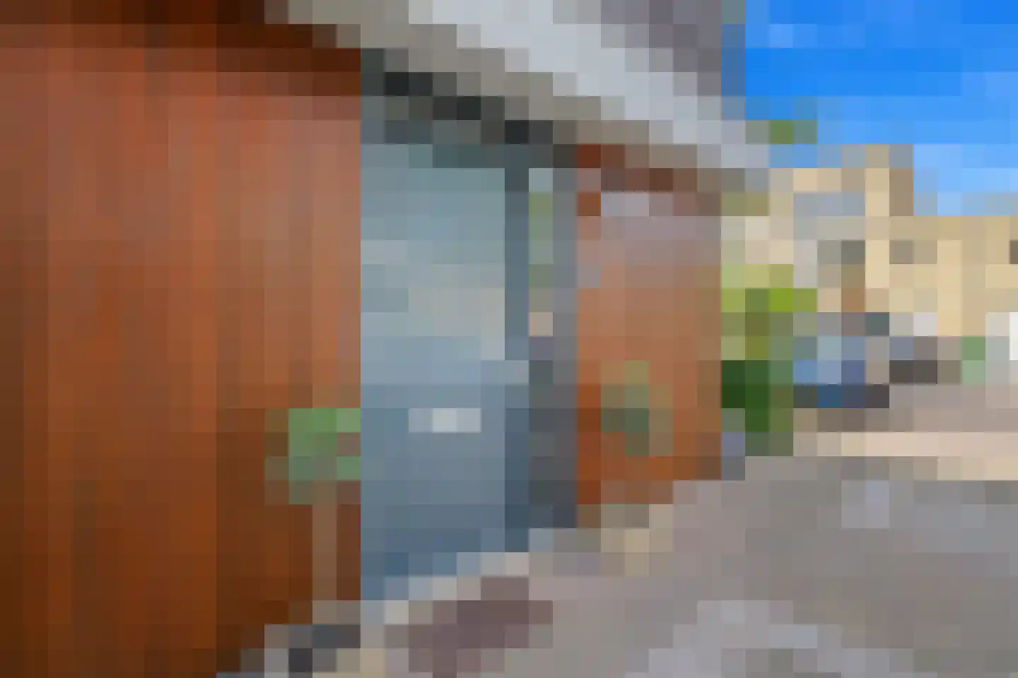 Goudappel 45 Den Hoorn thumbnail 10