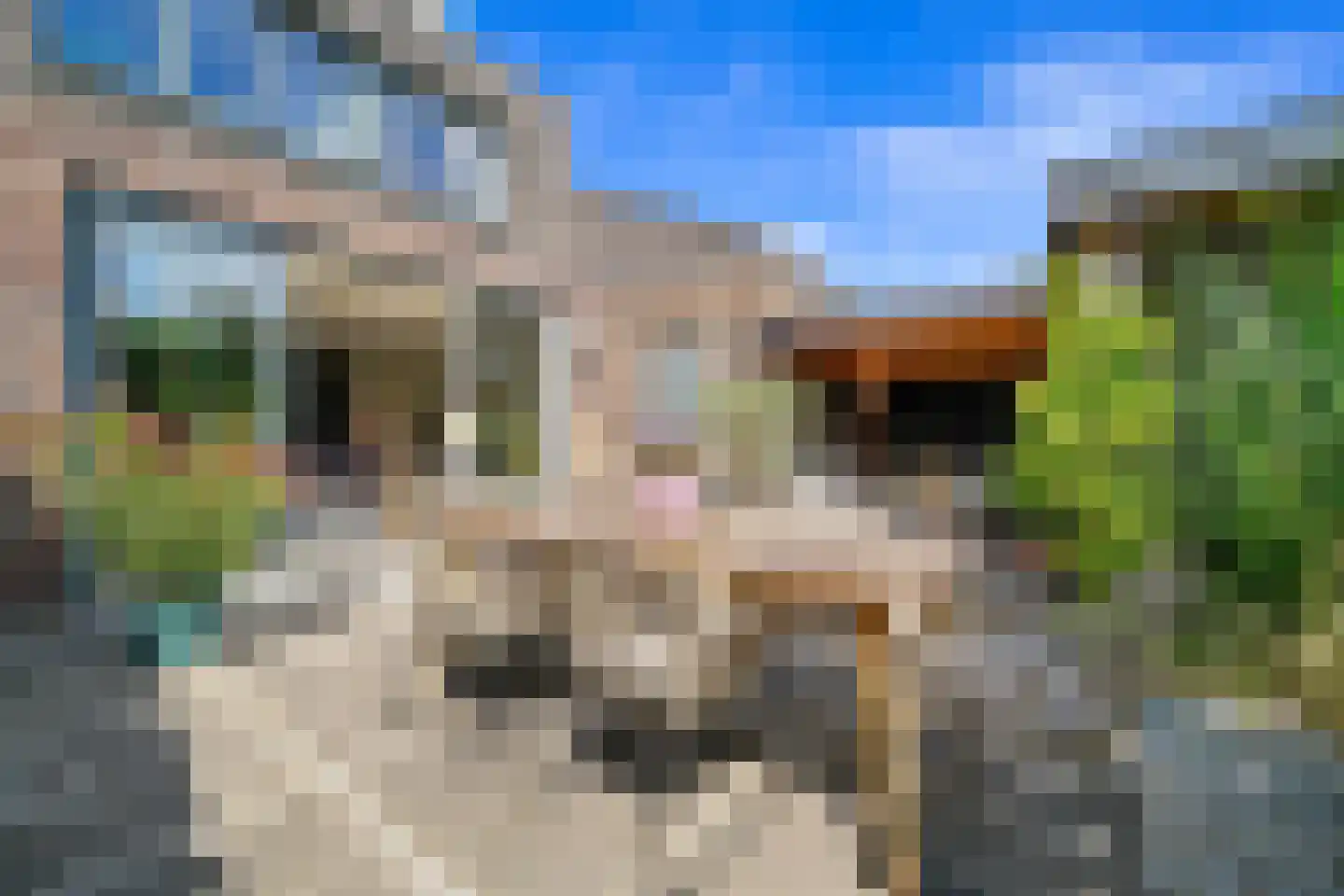 Goudappel 45 Den Hoorn thumbnail 26