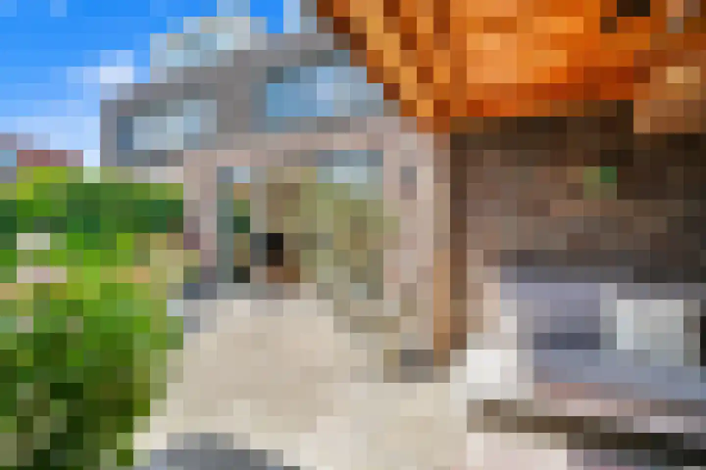 Goudappel 45 Den Hoorn thumbnail 27