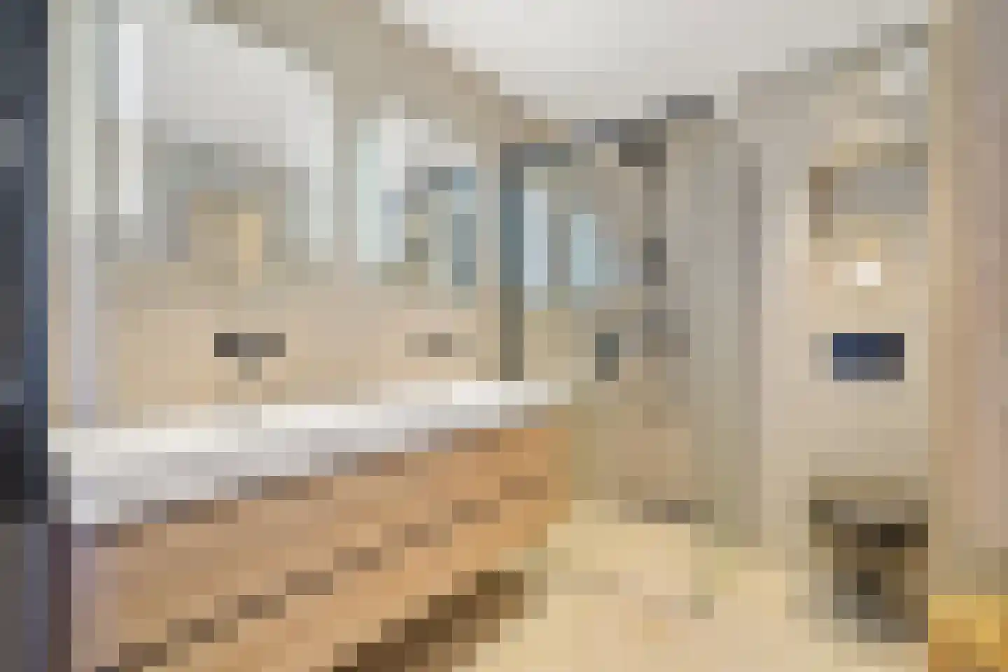 Goudappel 45 Den Hoorn thumbnail 45