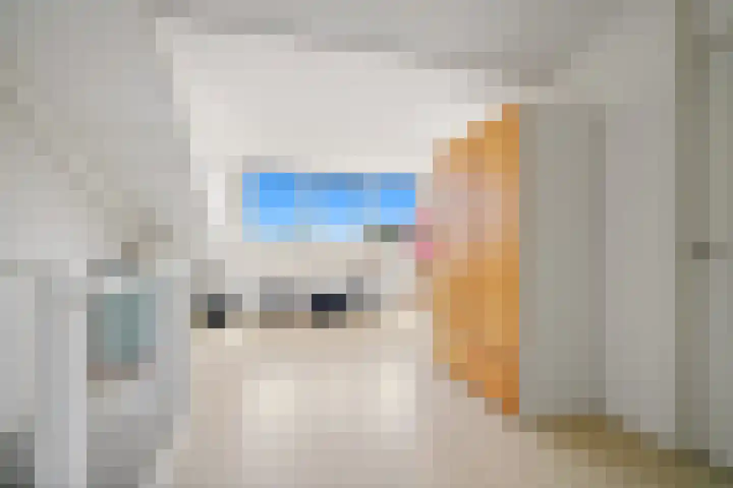 Goudappel 45 Den Hoorn thumbnail 58