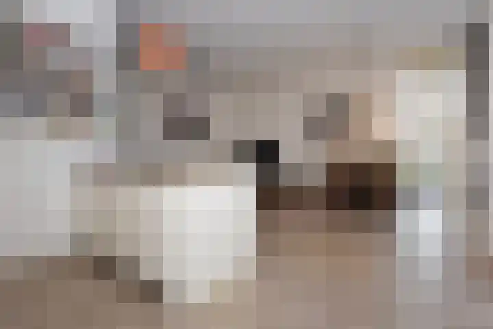 Goudappel 52 Den Hoorn thumbnail 10