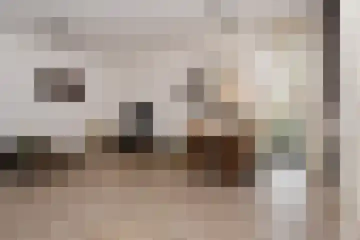 Goudappel 52 Den Hoorn thumbnail 11