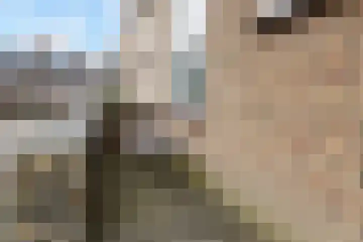 Goudappel 52 Den Hoorn thumbnail 31
