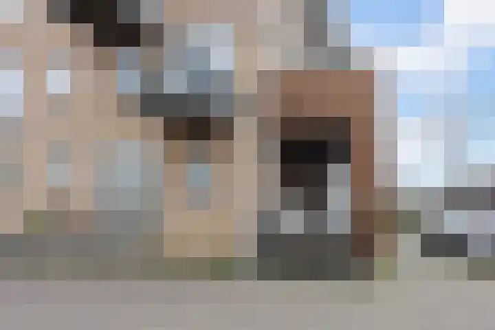Goudappel 52 Den Hoorn thumbnail 32