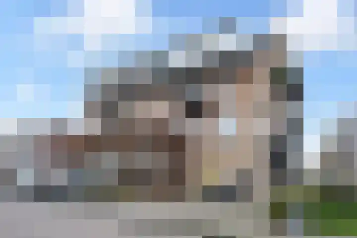 Goudappel 52 Den Hoorn thumbnail 33