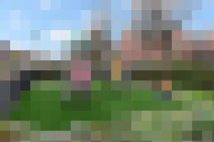 Goudappel 52 Den Hoorn thumbnail 37