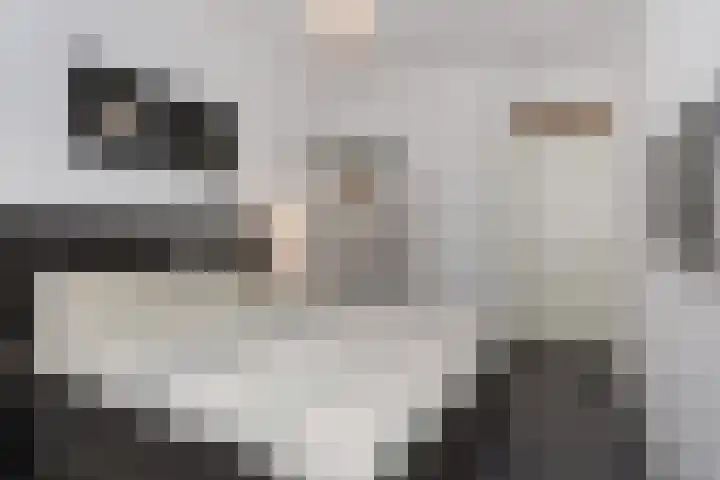 Goudappel 52 Den Hoorn thumbnail 4