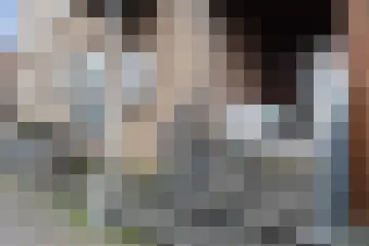 Goudappel 52 Den Hoorn thumbnail 6