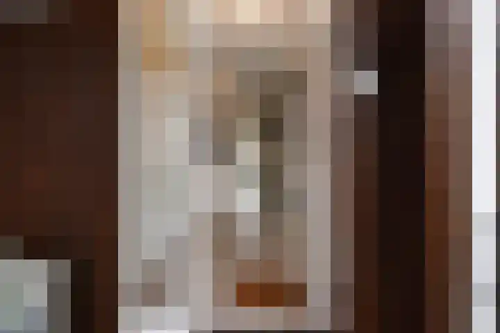 Goudappel 52 Den Hoorn thumbnail 8