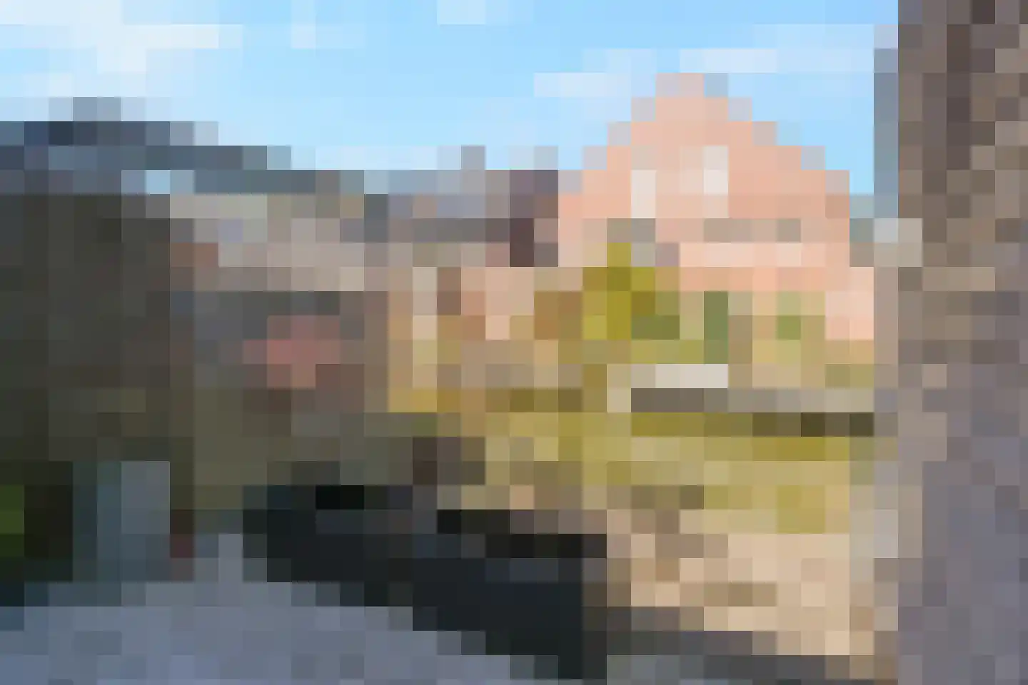 Goudappel 78 Den Hoorn thumbnail 22