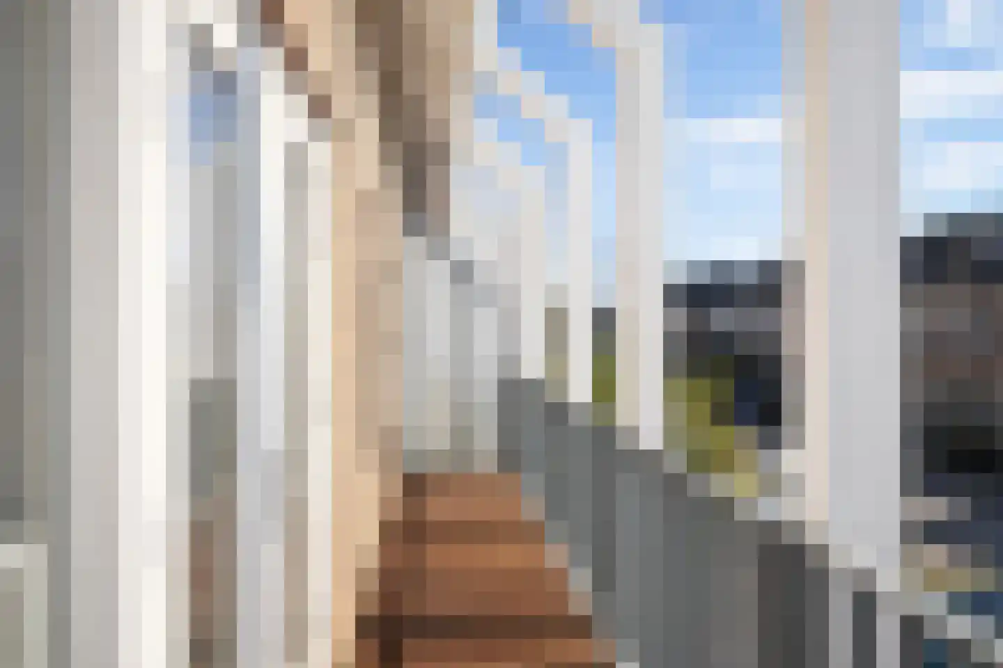 Goudappel 78 Den Hoorn thumbnail 33
