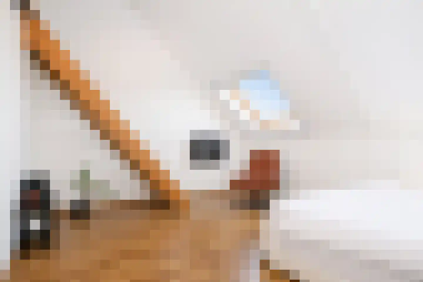 Goudappel 78 Den Hoorn thumbnail 35