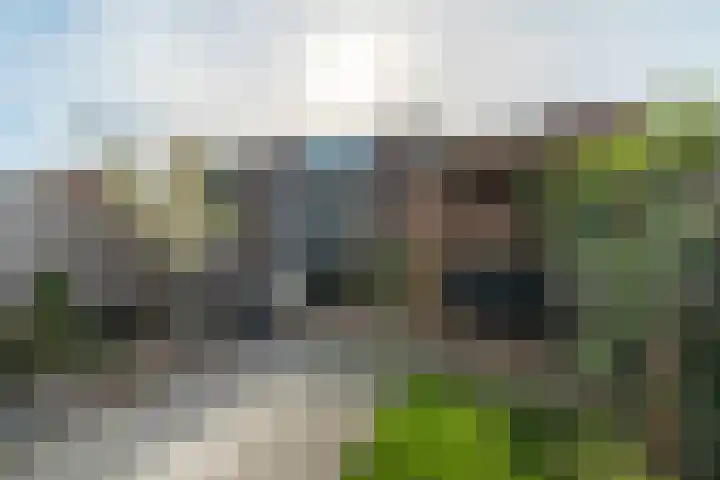 Goudappel 79 Den Hoorn thumbnail 16