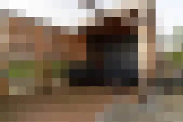 Goudappel 79 Den Hoorn thumbnail 18