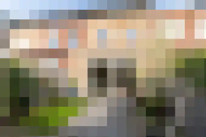 Goudappel 79 Den Hoorn thumbnail 19