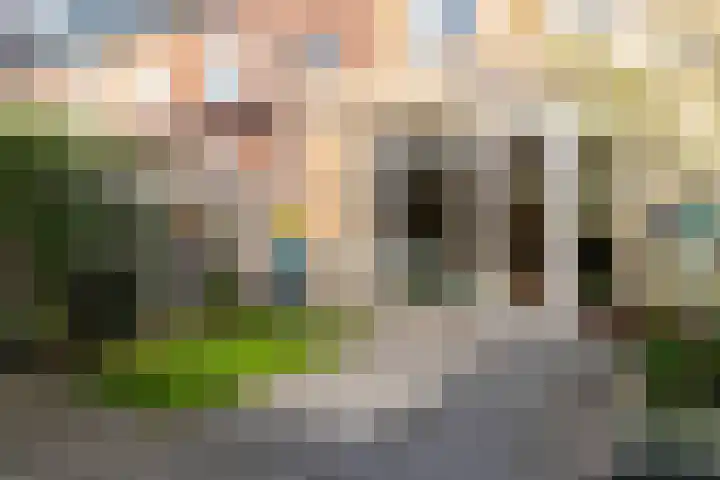 Goudappel 79 Den Hoorn thumbnail 20