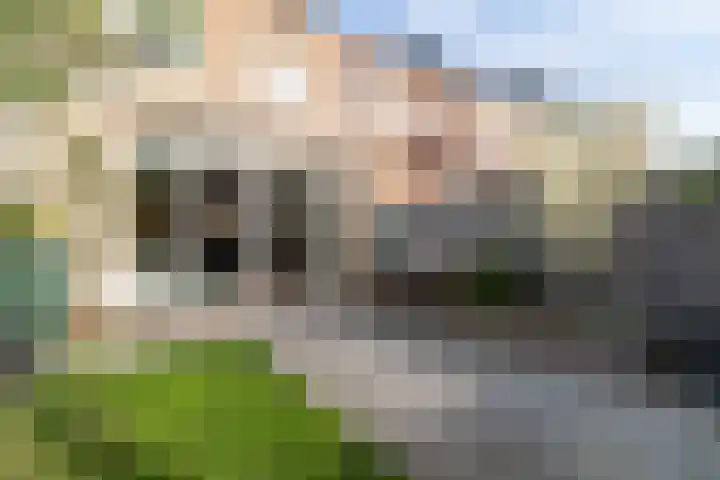 Goudappel 79 Den Hoorn thumbnail 21