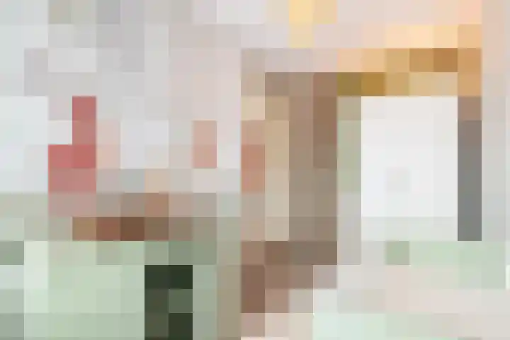 Goudappel 79 Den Hoorn thumbnail 37