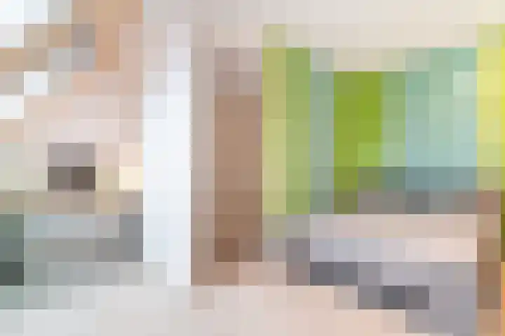 Goudappel 79 Den Hoorn thumbnail 39