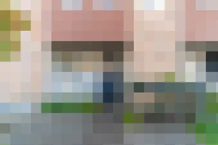 Goudappel 79 Den Hoorn thumbnail 8