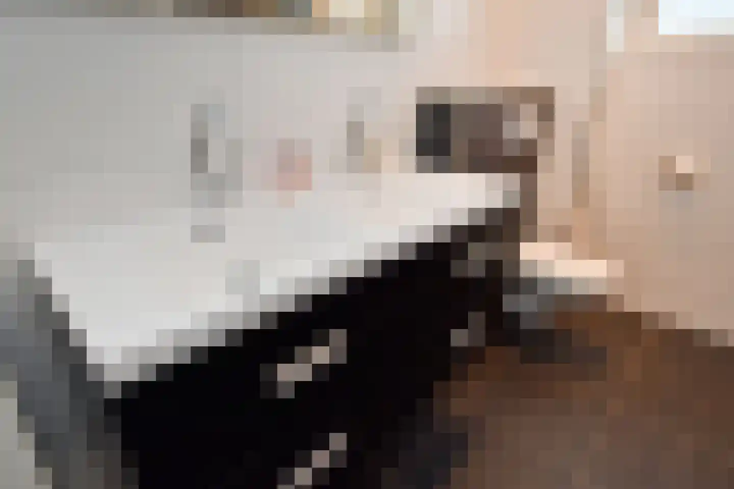 Goudappel 87 Den Hoorn thumbnail 28