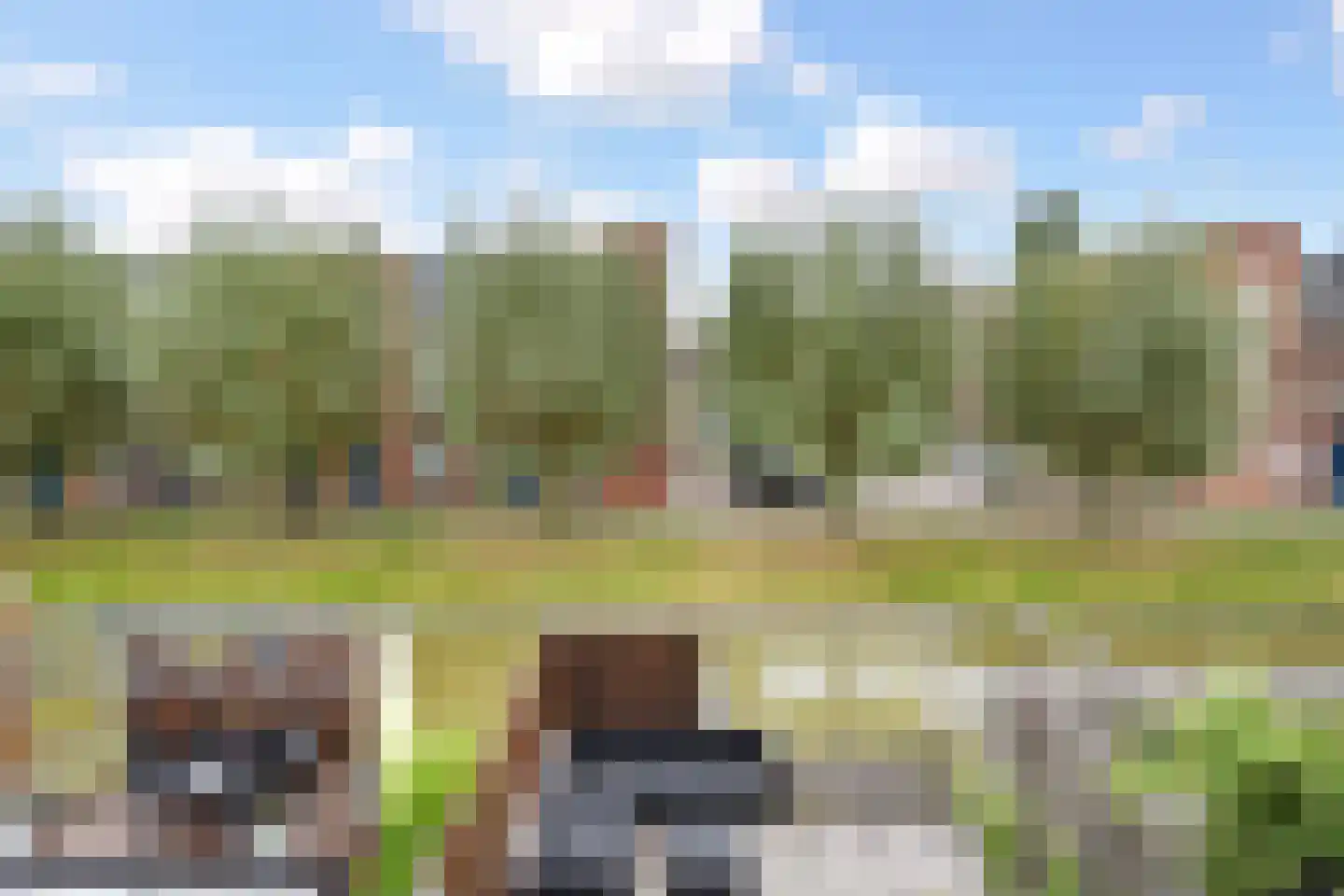 Goudappel 87 Den Hoorn thumbnail 31