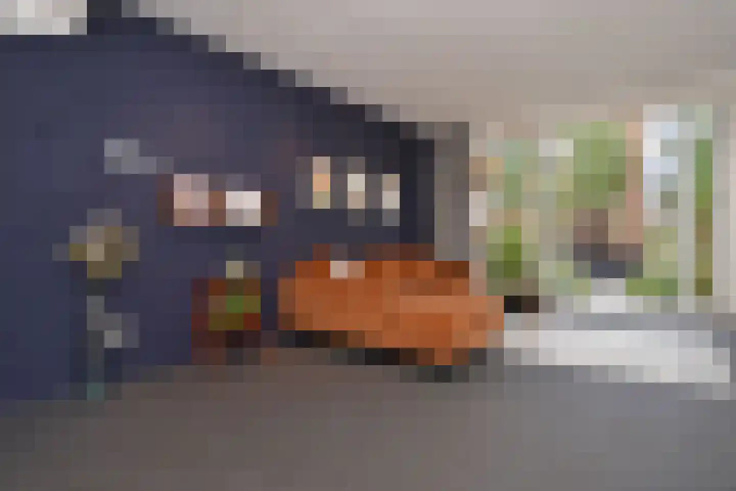 Goudappel 87 Den Hoorn thumbnail 8