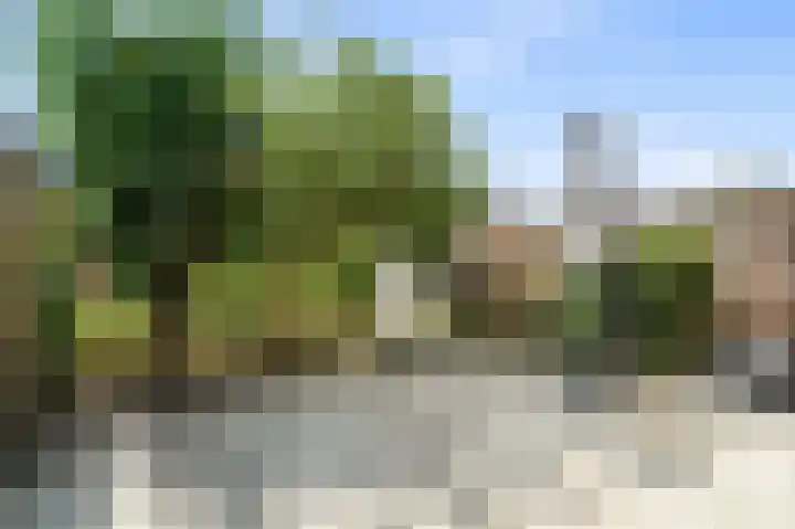 Goudappel 97 Den Hoorn thumbnail 10