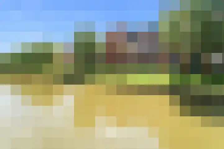 Goudappel 97 Den Hoorn thumbnail 13