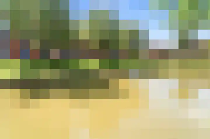 Goudappel 97 Den Hoorn thumbnail 14