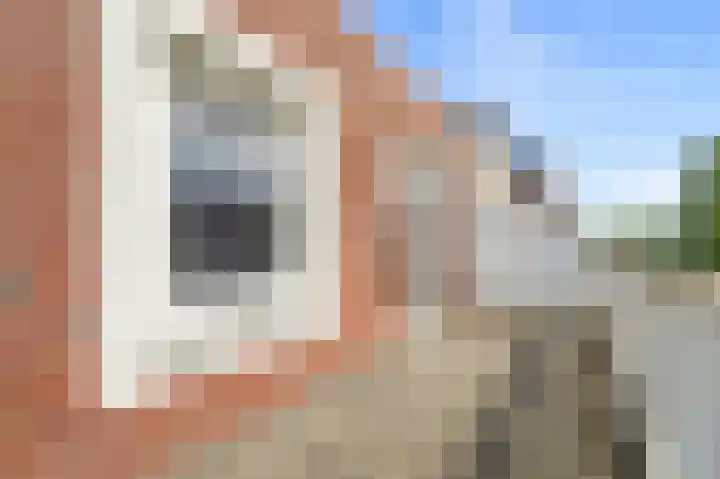 Goudappel 97 Den Hoorn thumbnail 23