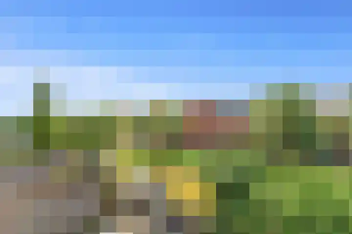 Goudappel 97 Den Hoorn thumbnail 25