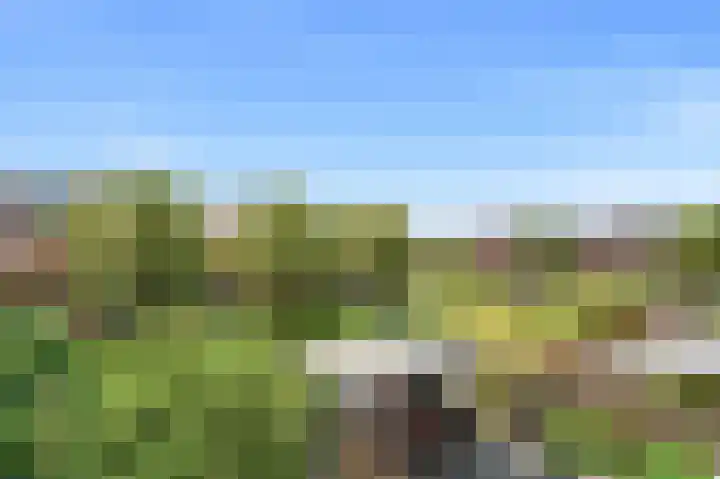 Goudappel 97 Den Hoorn thumbnail 26