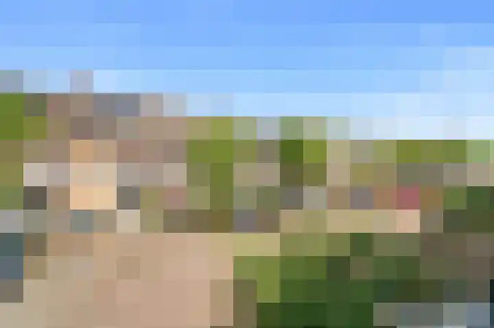 Goudappel 97 Den Hoorn thumbnail 31