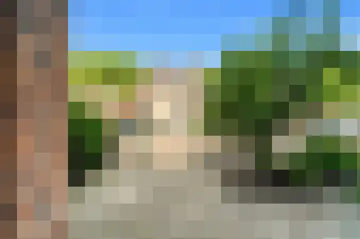 Goudappel 97 Den Hoorn thumbnail 40