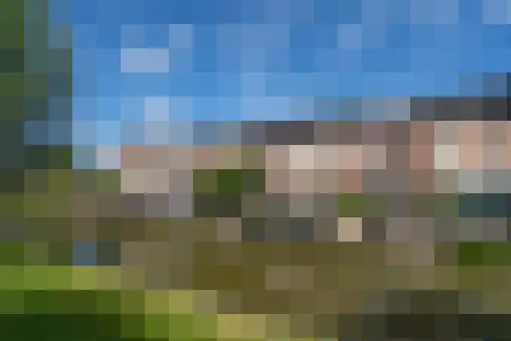 Goudappel 97 Den Hoorn thumbnail 42