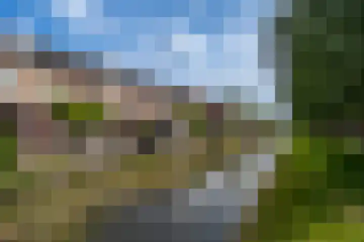 Goudappel 97 Den Hoorn thumbnail 43
