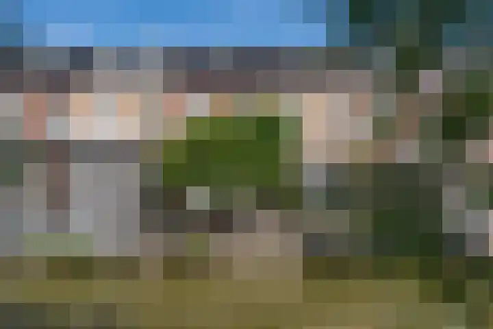 Goudappel 97 Den Hoorn thumbnail 44