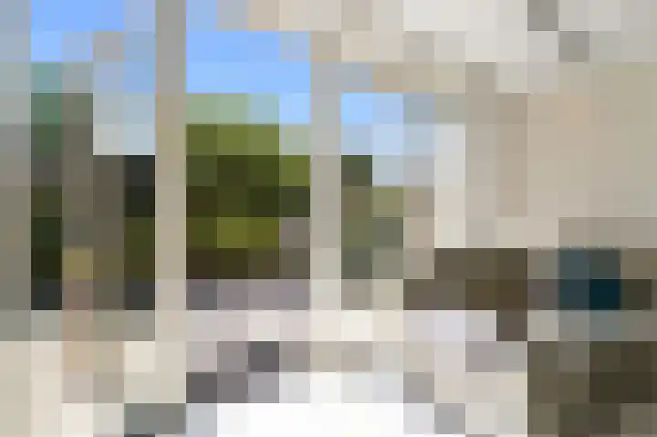 Goudappel 97 Den Hoorn thumbnail 8