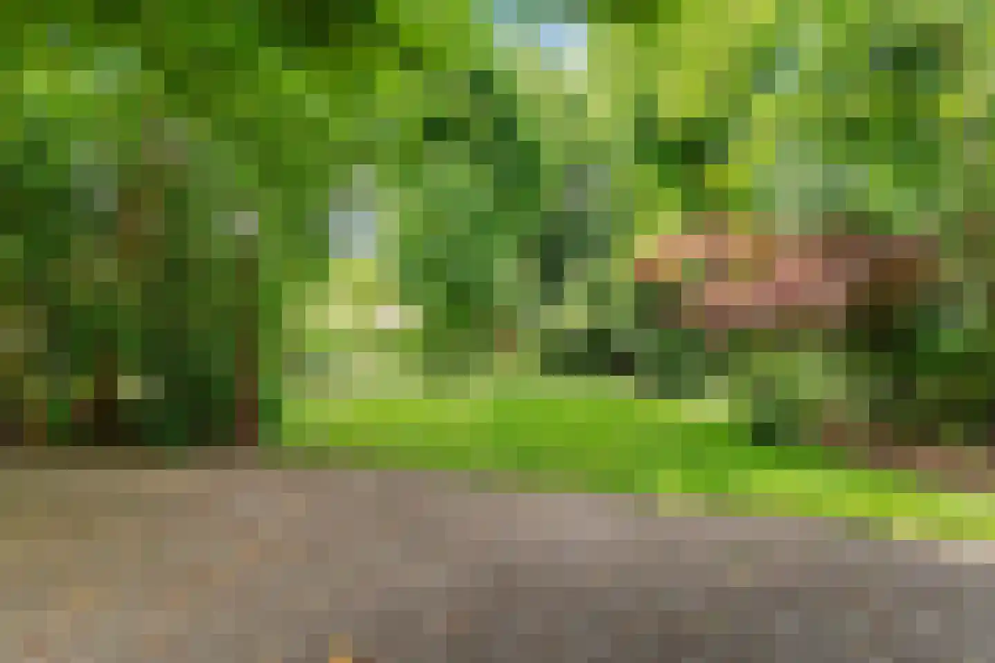 Goudastraat 21 Wormerveer thumbnail 39