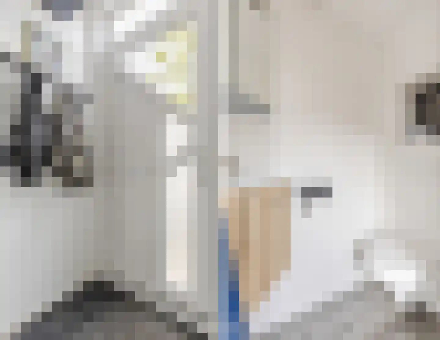 Goudastraat 25 Wormerveer thumbnail 17