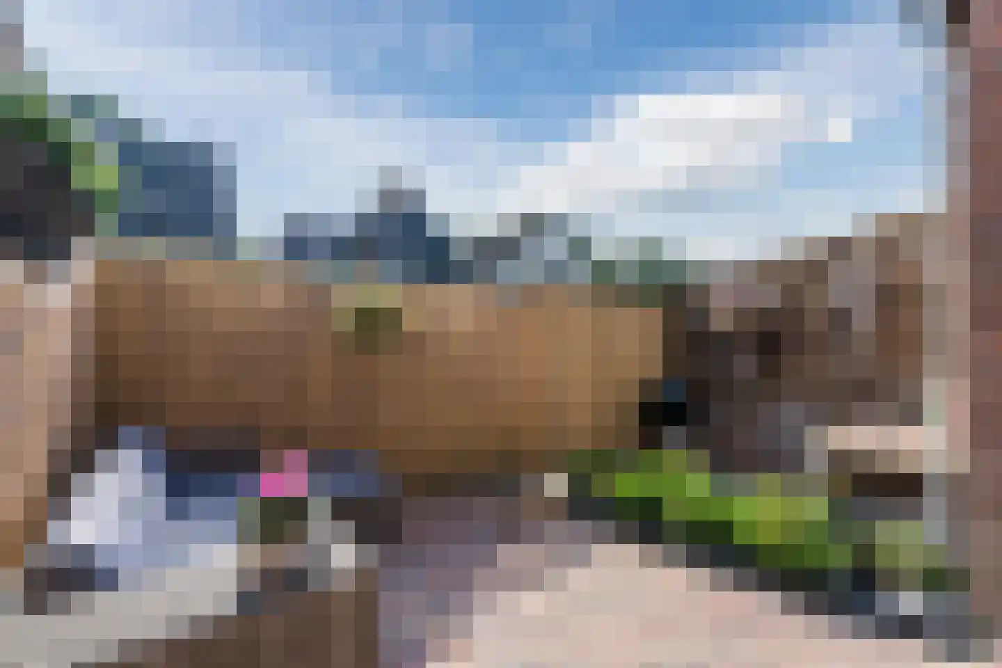 Goudastraat 25 Wormerveer thumbnail 4