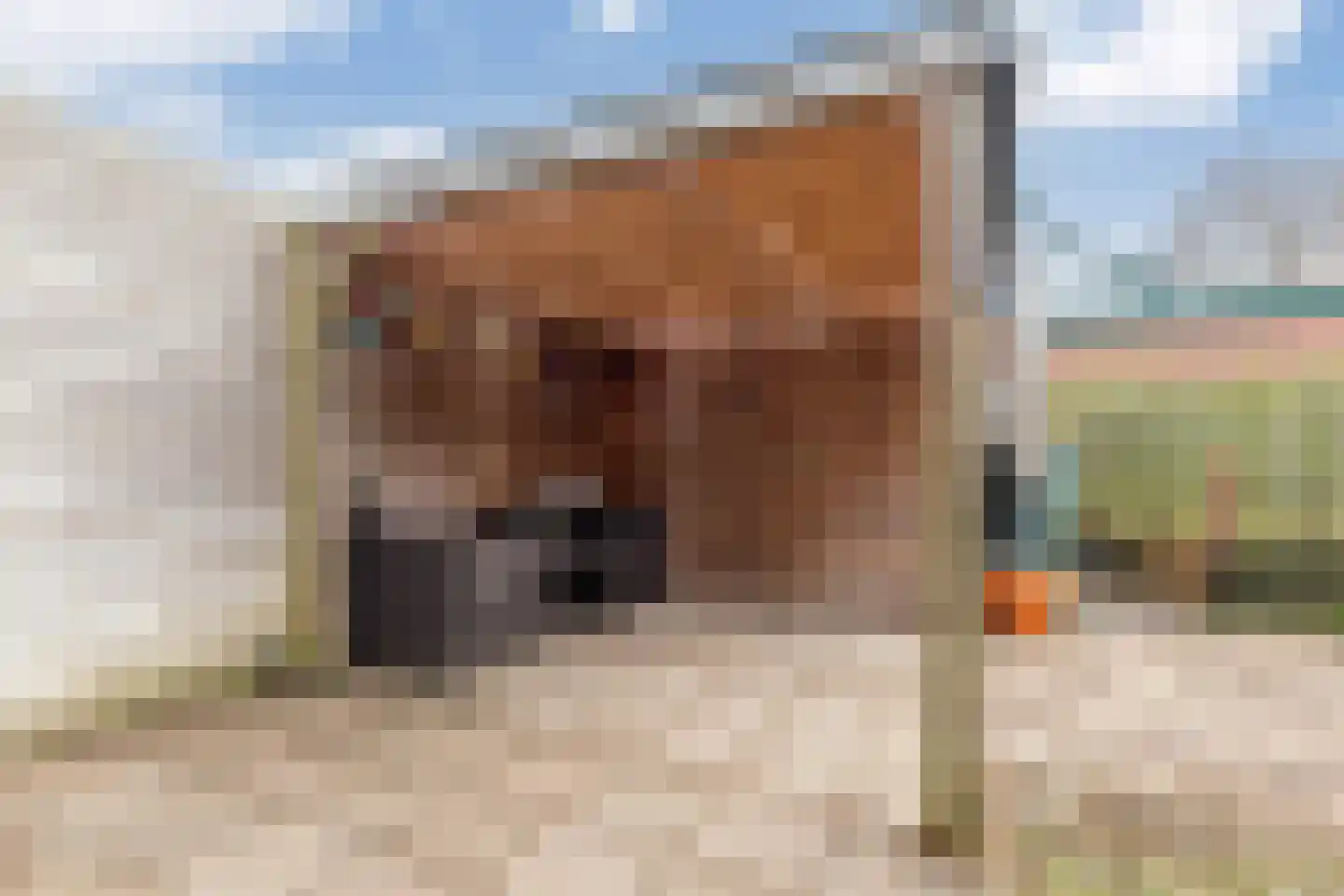Goudastraat 29 Wormerveer thumbnail 30