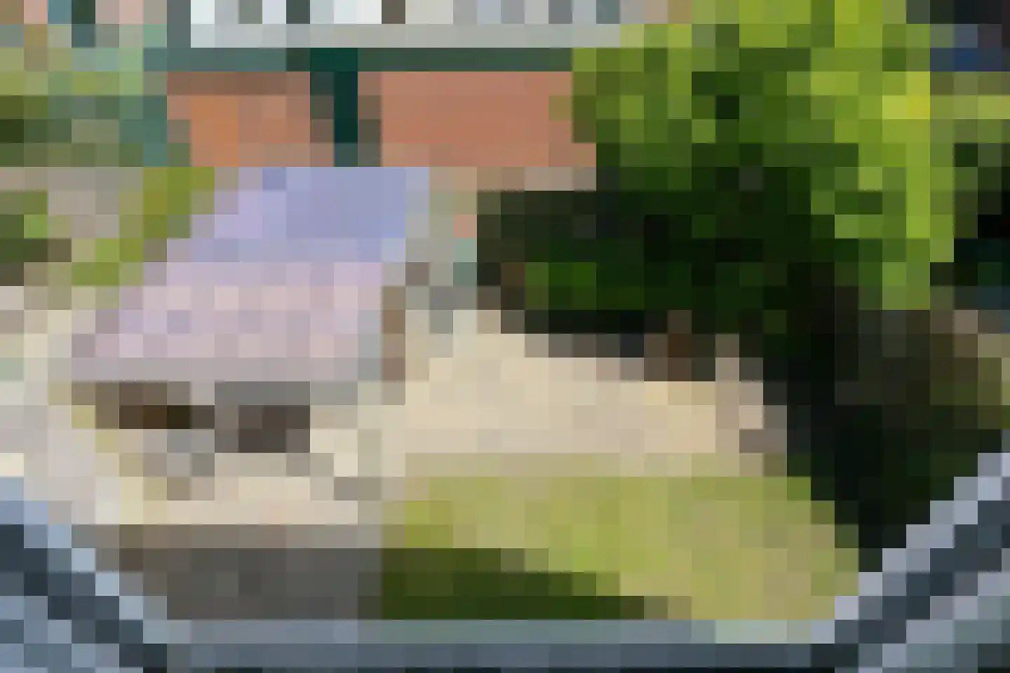 Goudastraat 29 Wormerveer thumbnail 31