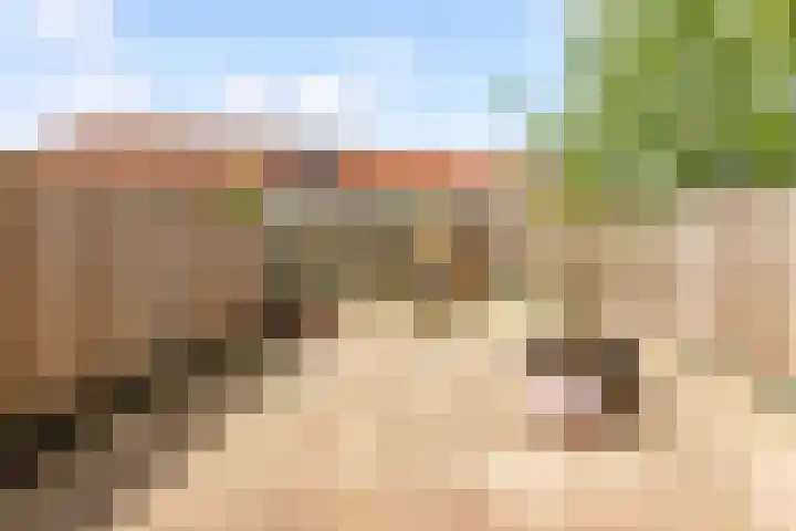 Goudastraat 3 Almere thumbnail 33